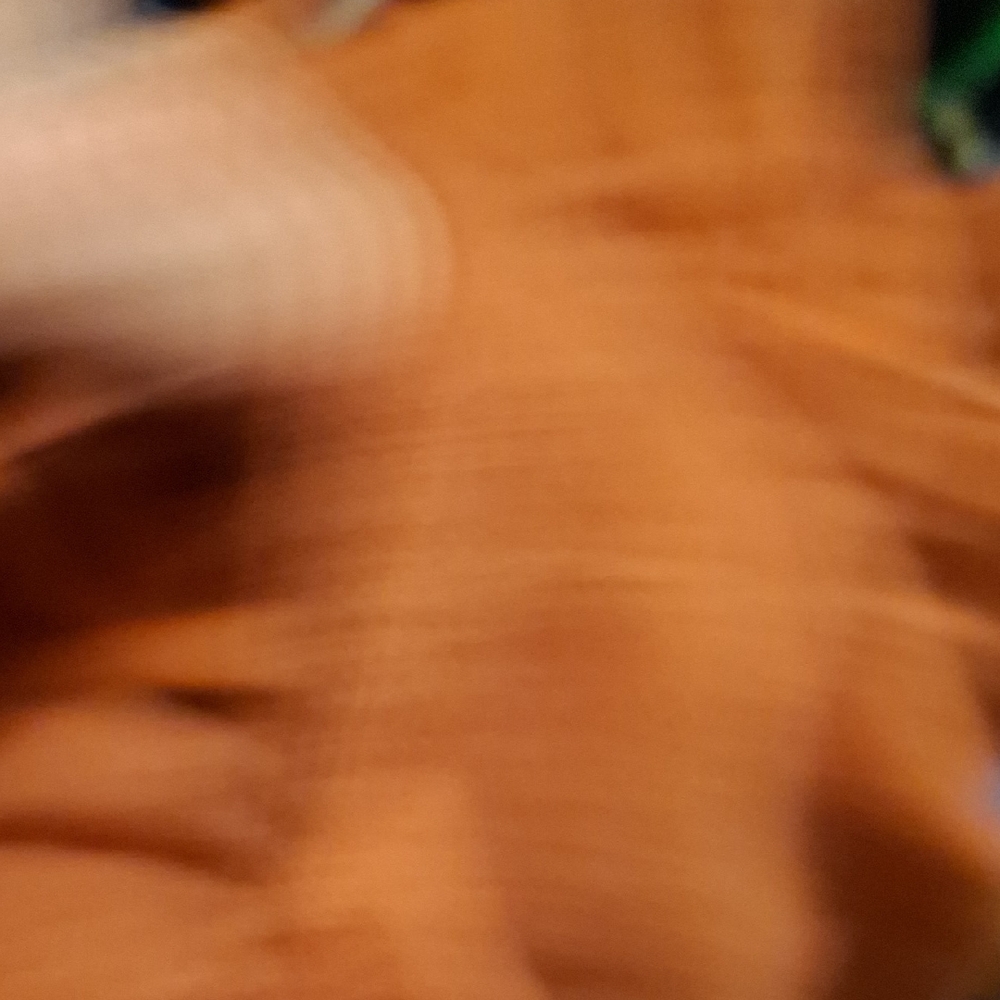 Hollister Rust Button-Front Skirt XS - Picture 5 of 8